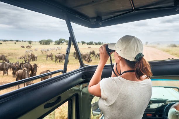 Tanzania safaris