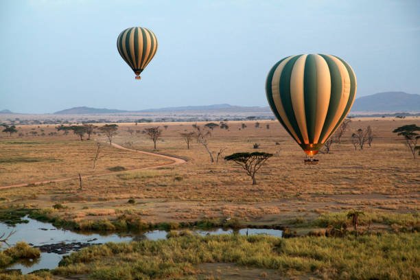 Serengeti National park