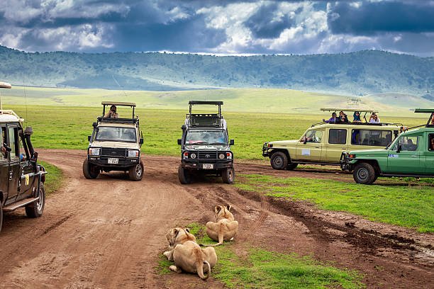 ngorongoro